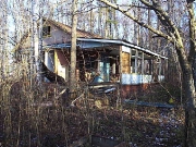 2006 год