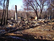 2006 год