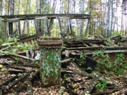 2006 год