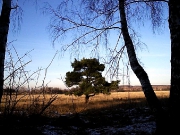 2006 год