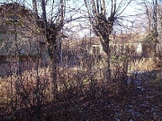 2006 год