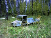 2006 год