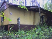 2007 год