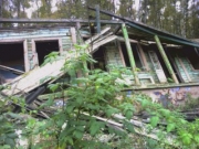 2007 год