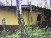 2007 год