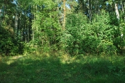 2008 год