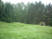 Leto09
