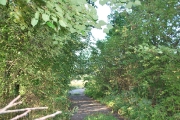 Аллея