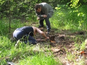 Пилить было не легко