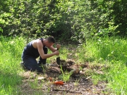 Начали откапывать