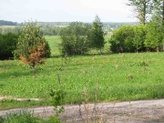 Футбольное поле изрытое кротами