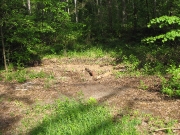 Линейка, плиты президиума нет....