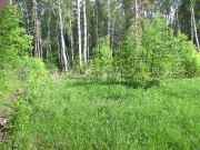 Волейбольная площадка