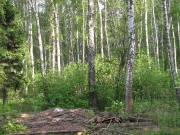 Дом начальника...