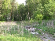 От входа в лагерь на хоздвор