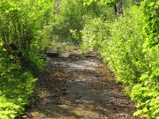 Столовая....