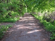 Начало аллеи