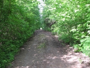 Аллея стала шире..