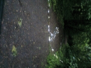 На выезде около 