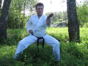 Боевые искусства 