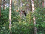 Октябрятский корпус вид снизу