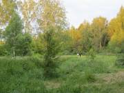 Осматриваем поляну
