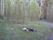 Костер, явно не наш