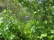 Суббота,празднуем!