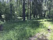 Разведка 27.05.2018