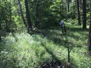 Разведка 27.05.2018