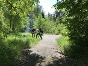 Разведка 27.05.2018