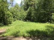 Разведка 27.05.2018