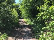 Разведка 19.05.2019