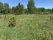 Разведка 22.05.2021