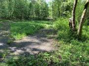 Разведка 22.05.2021