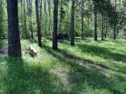 Разведка 22.05.2021