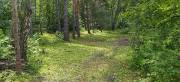 Разведка 10.07.22