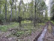 Разведка 14.05.22