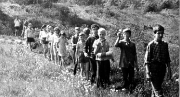 Ботт Генрих